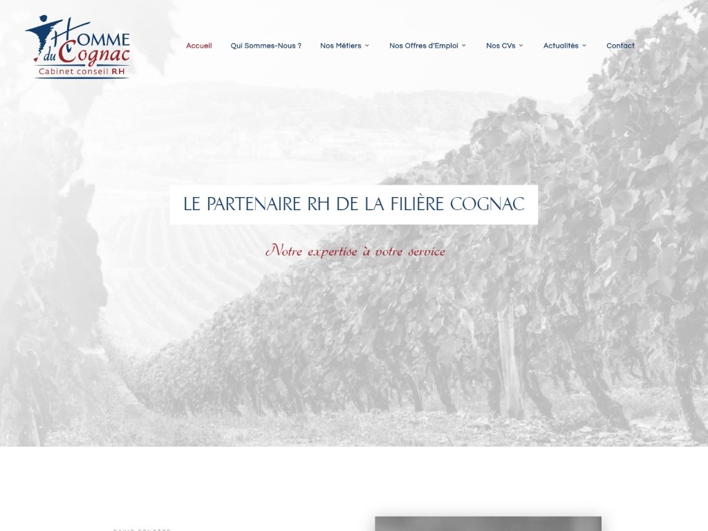 Homme du Cognac, Cabinet de recrutement, Conseils RH